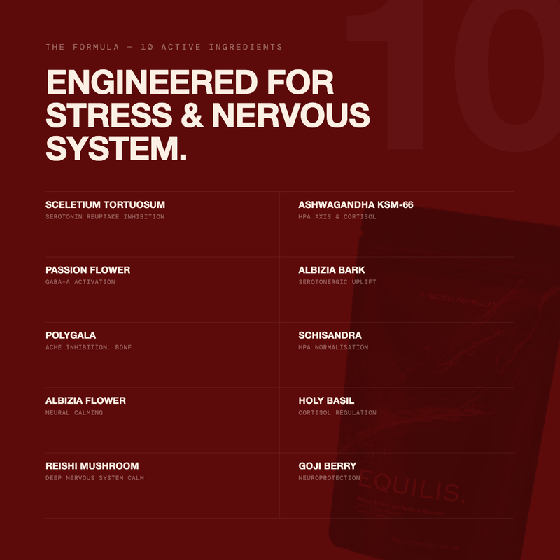 EQUILIS - Stress & Nervous System Balance
