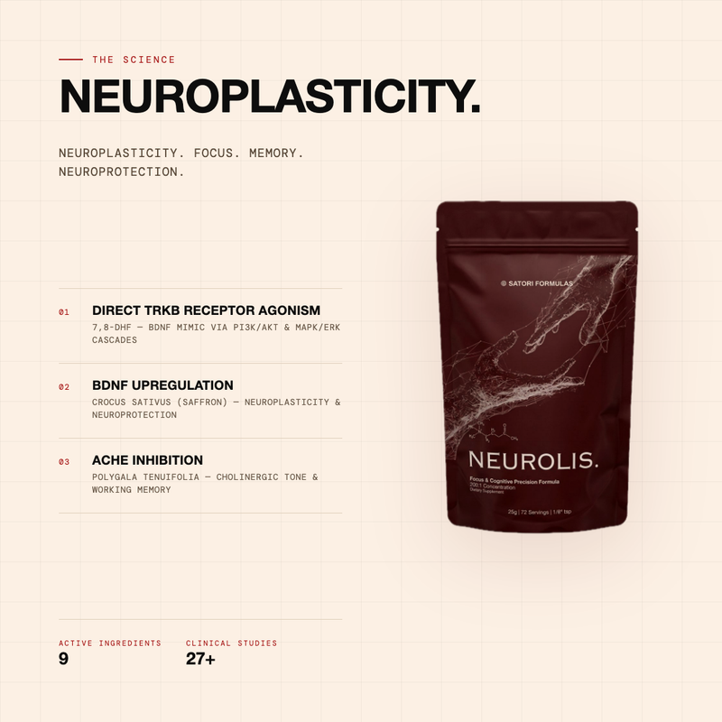 NEUROLIS - Focus & Cognitive Precision Formula