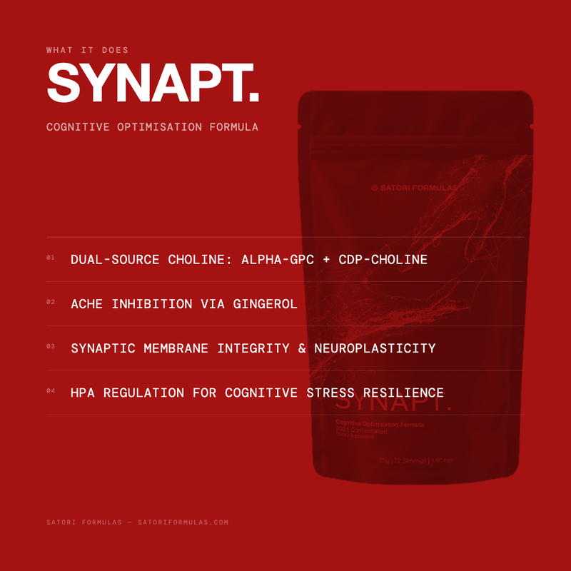 SYNAPT - Cognitive Optimisation Formula