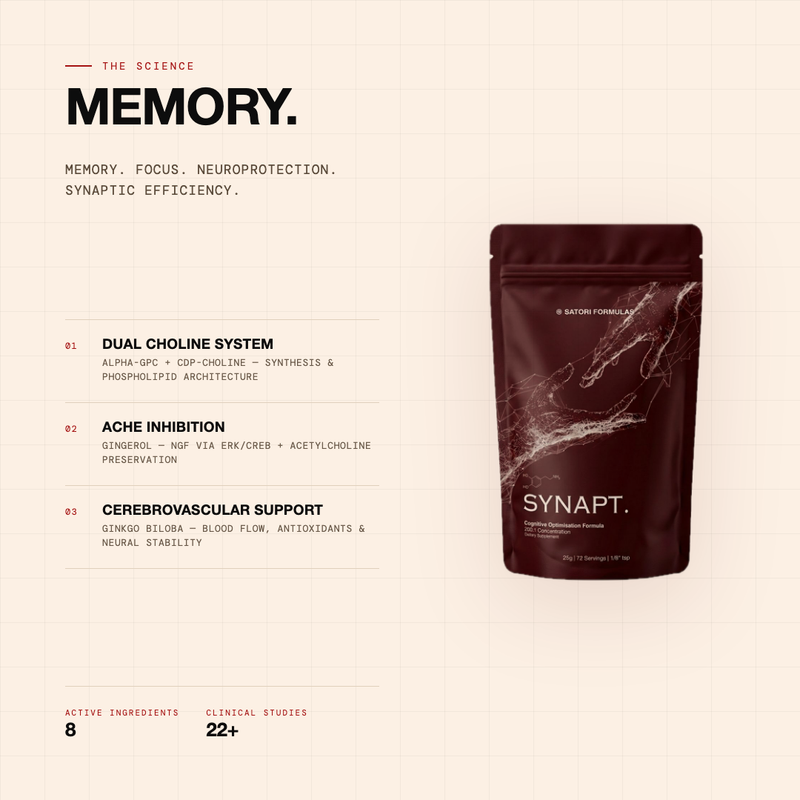 SYNAPT - Cognitive Optimisation Formula