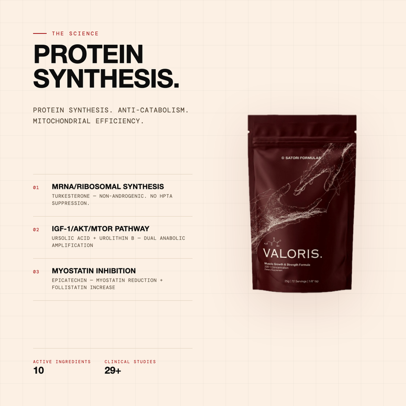 VALORIS - MUSCLE GROWTH & STRENGTH FORMULA